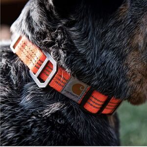 🥳 HP 🥳 Orange Carhartt Dog Collar